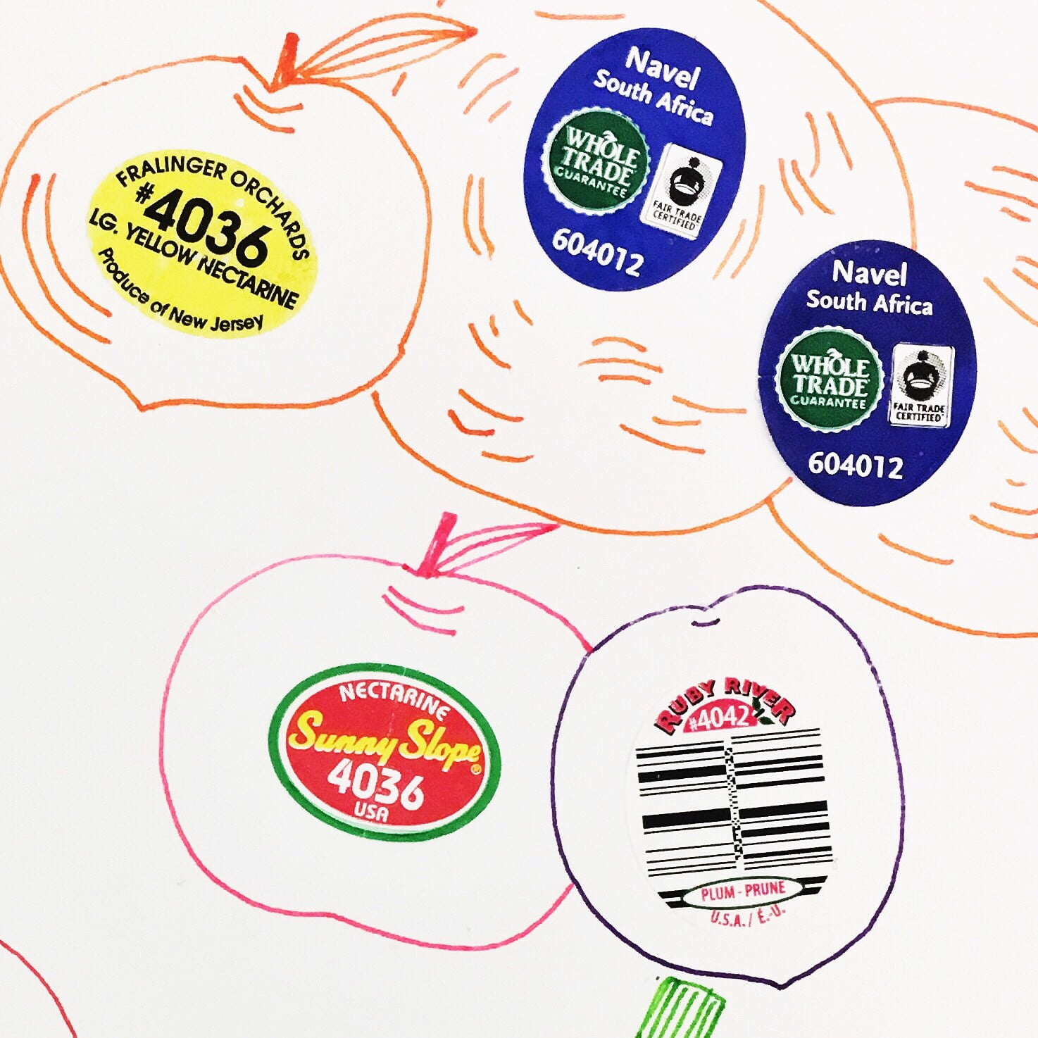 Day20_100DayChallenge