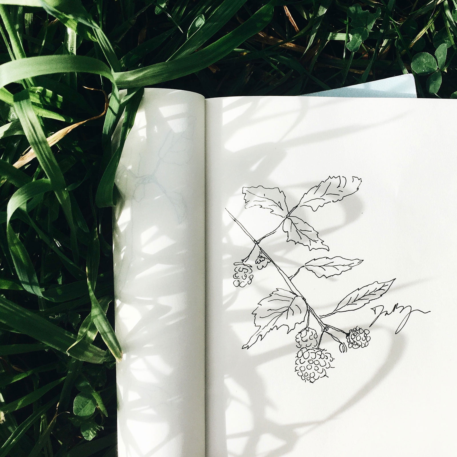 Day82_100DayChallenge_Web