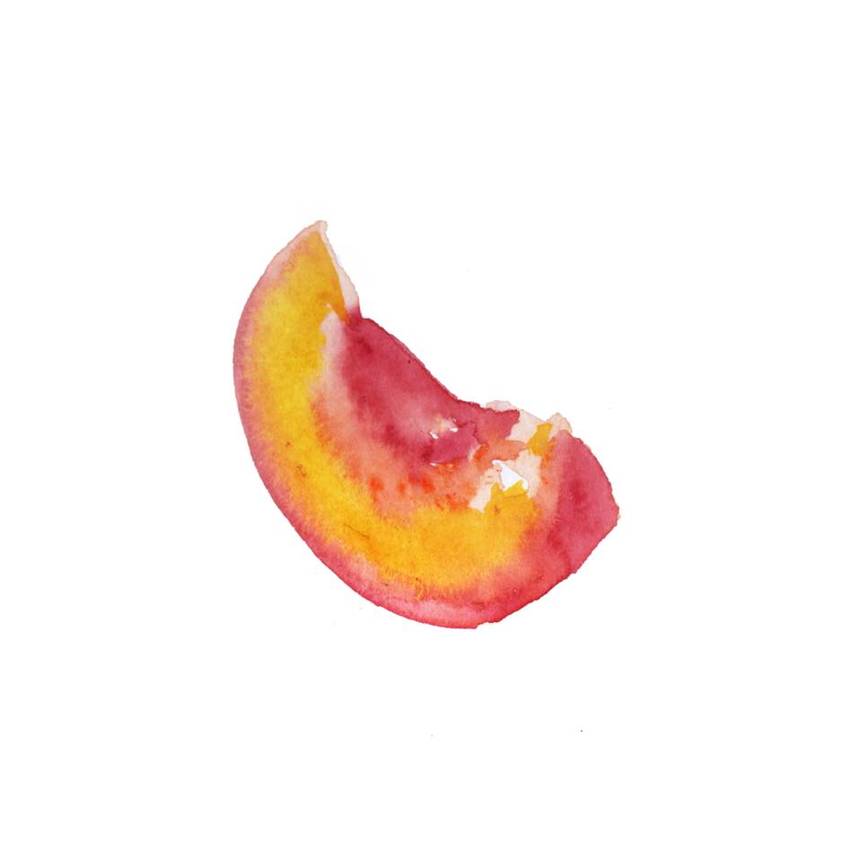 illustration-peach-watercolor