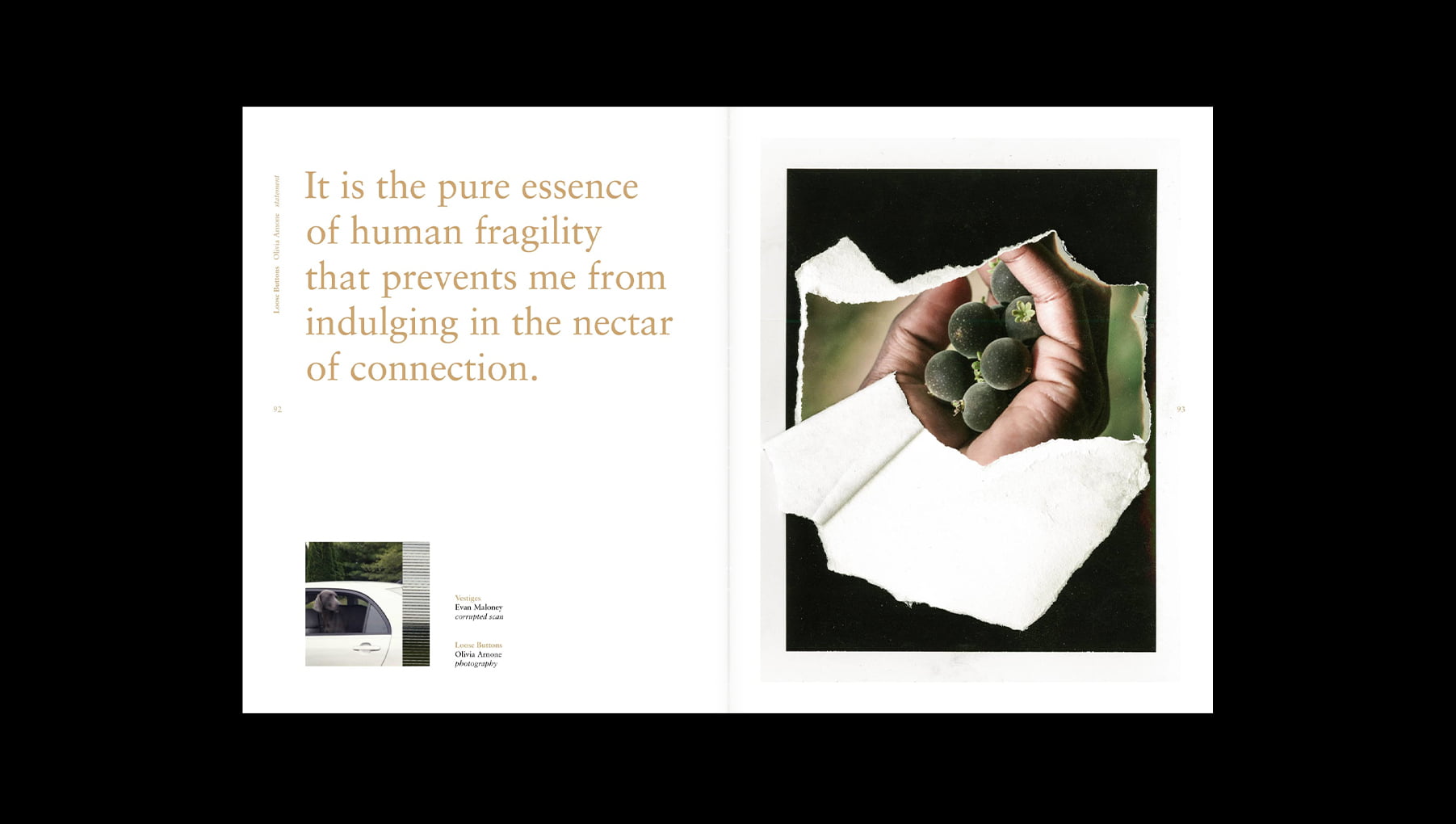 db-signatures-spread01 copy