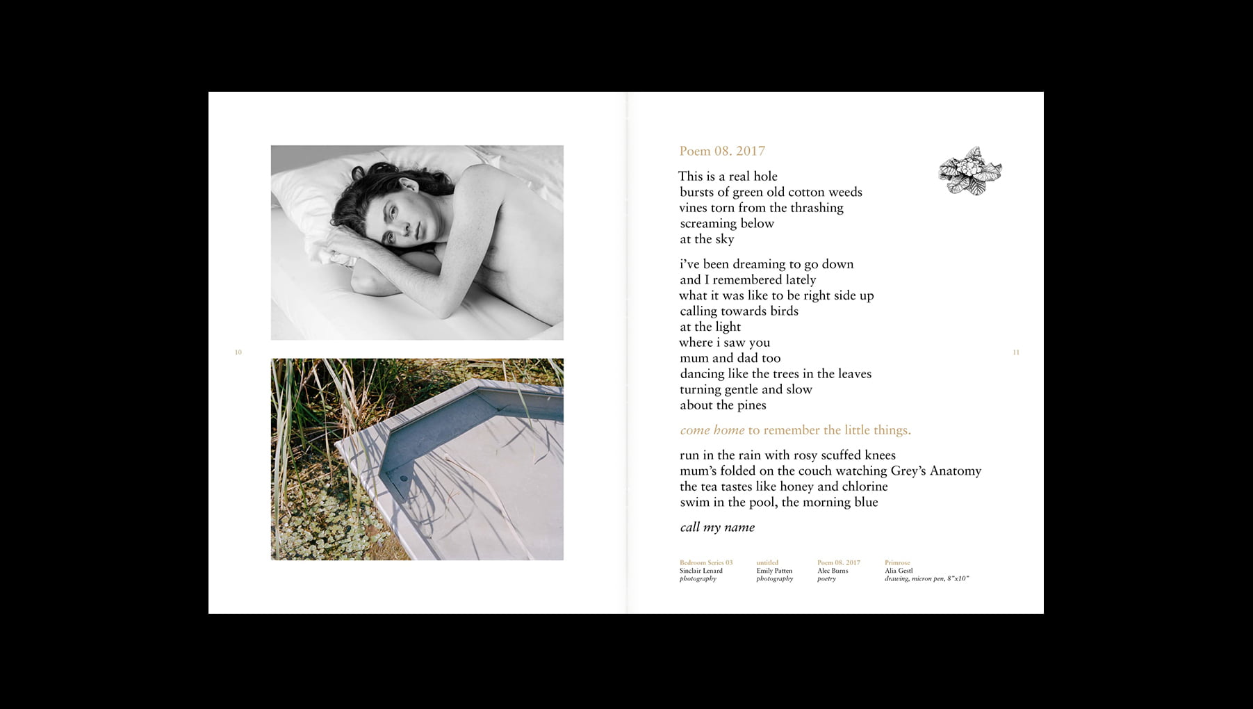 db-signatures-spread02 copy