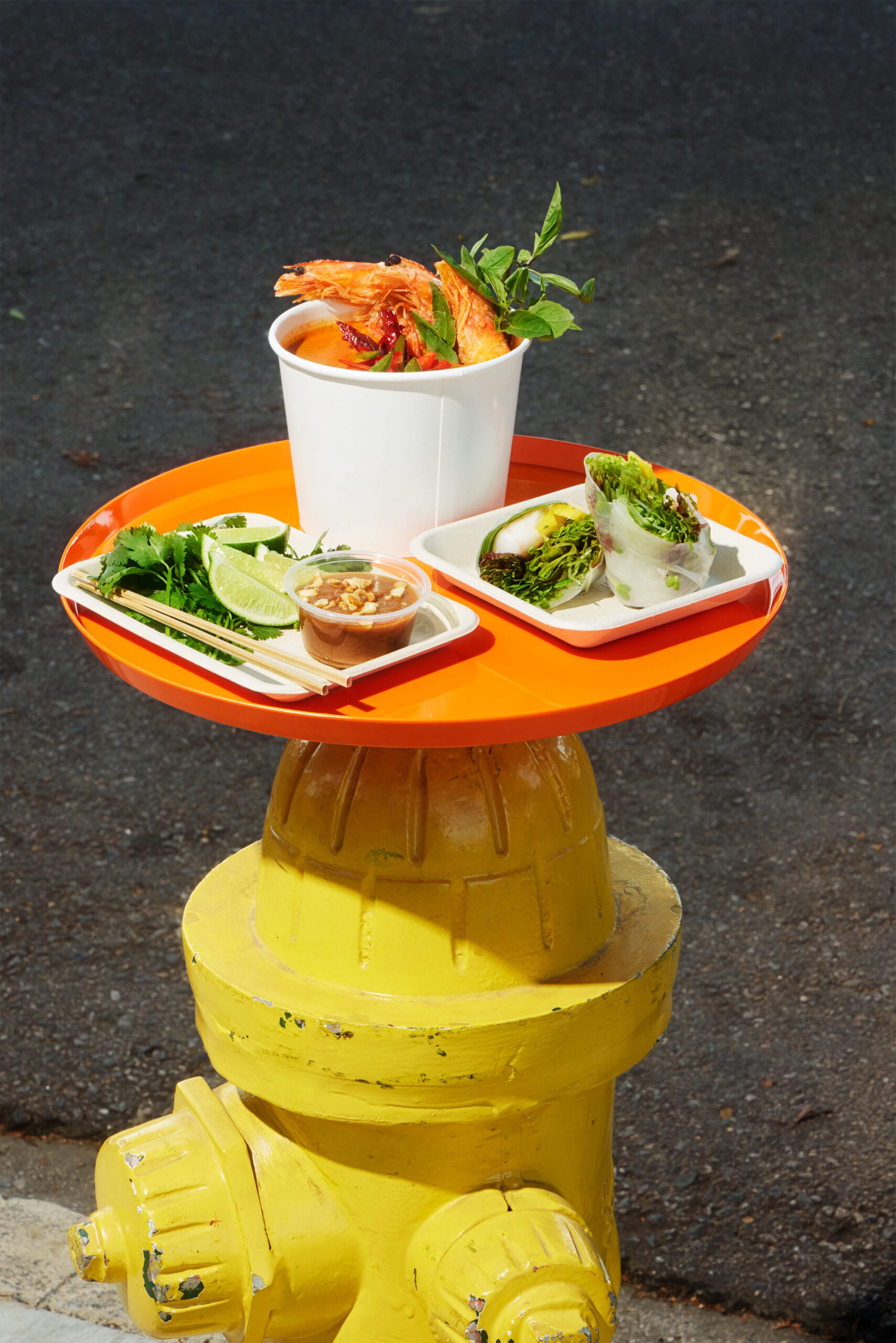 09_Hydrant_PanangCurry_Shrimps_1164_final